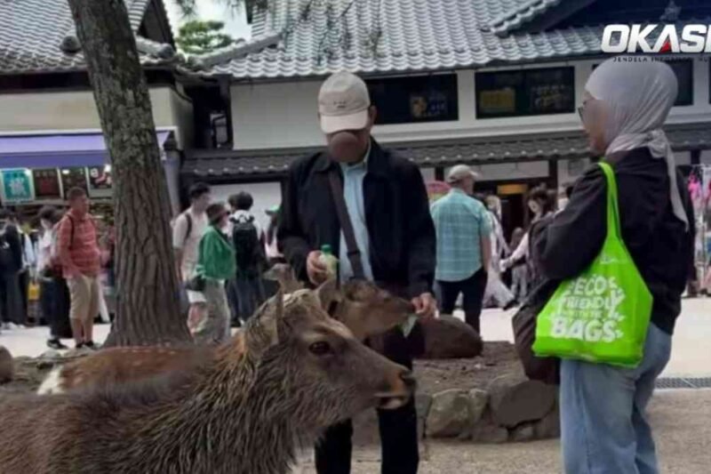 Viral Turis WNI di Nara Park Jepang, Klarifikasi soal Plastik Jadi Sorotan