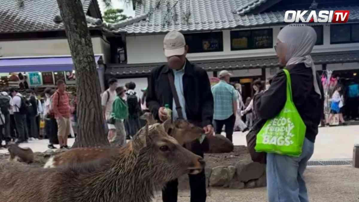 Turis WNI di Nara Park Jepang bersama seekor rusa